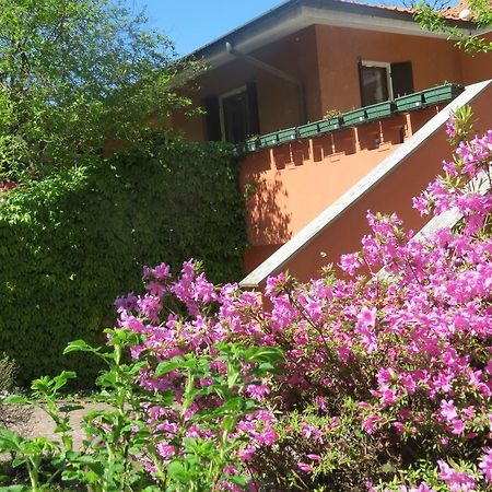 B&B Tana Della Volpe Ispra Ngoại thất bức ảnh